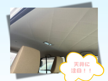 天井、見たことありますか・・・？